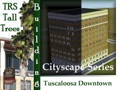Tuscaloosa-Downtown-2D