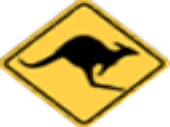 Qroadsign Kangaroos  Ahead