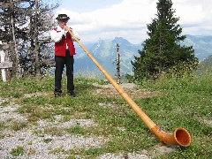 musicien suisse 1